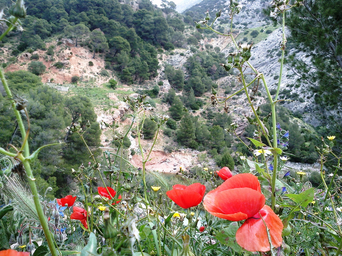 Королевская Дорожка - Caminito del Rey
