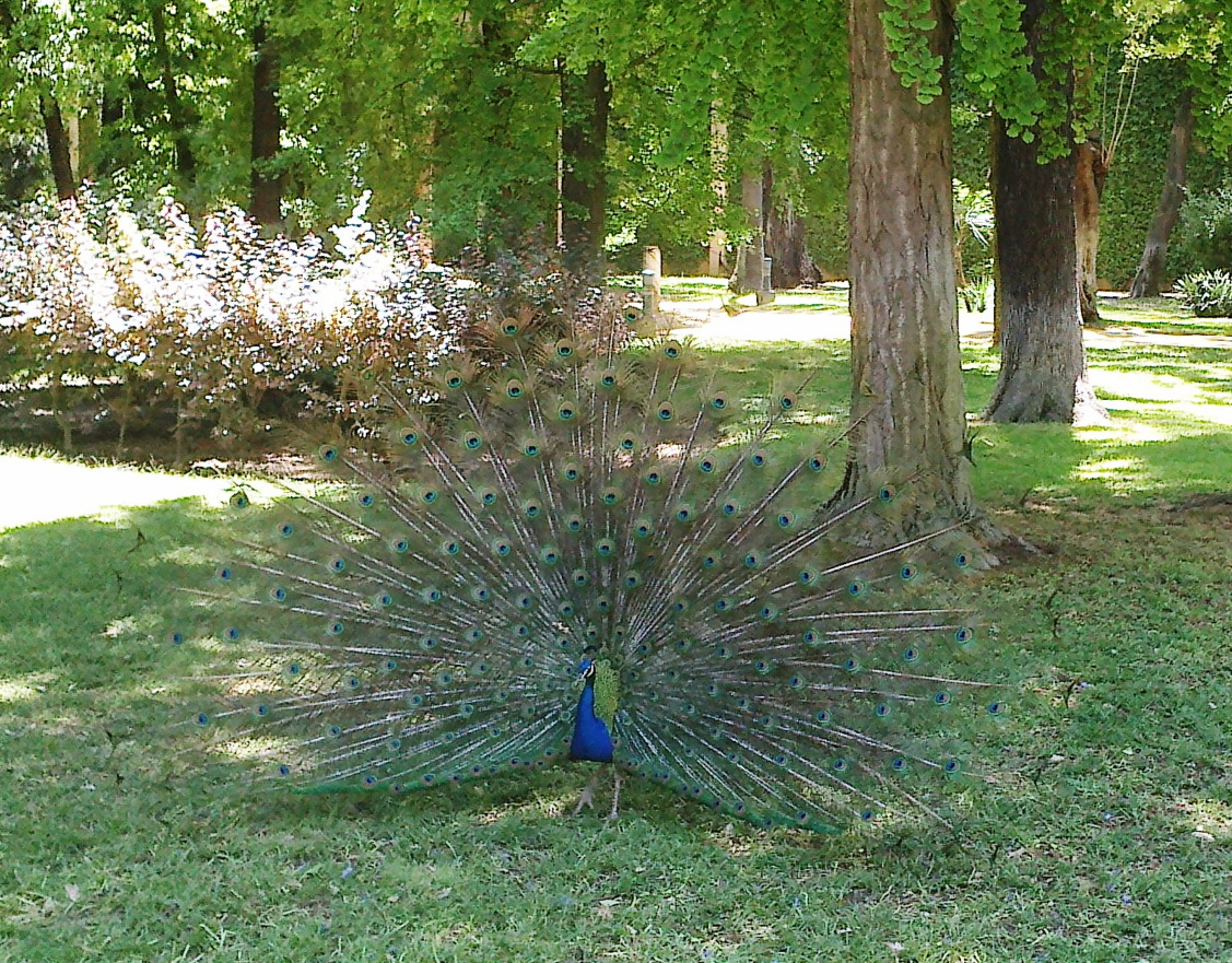 Севилья