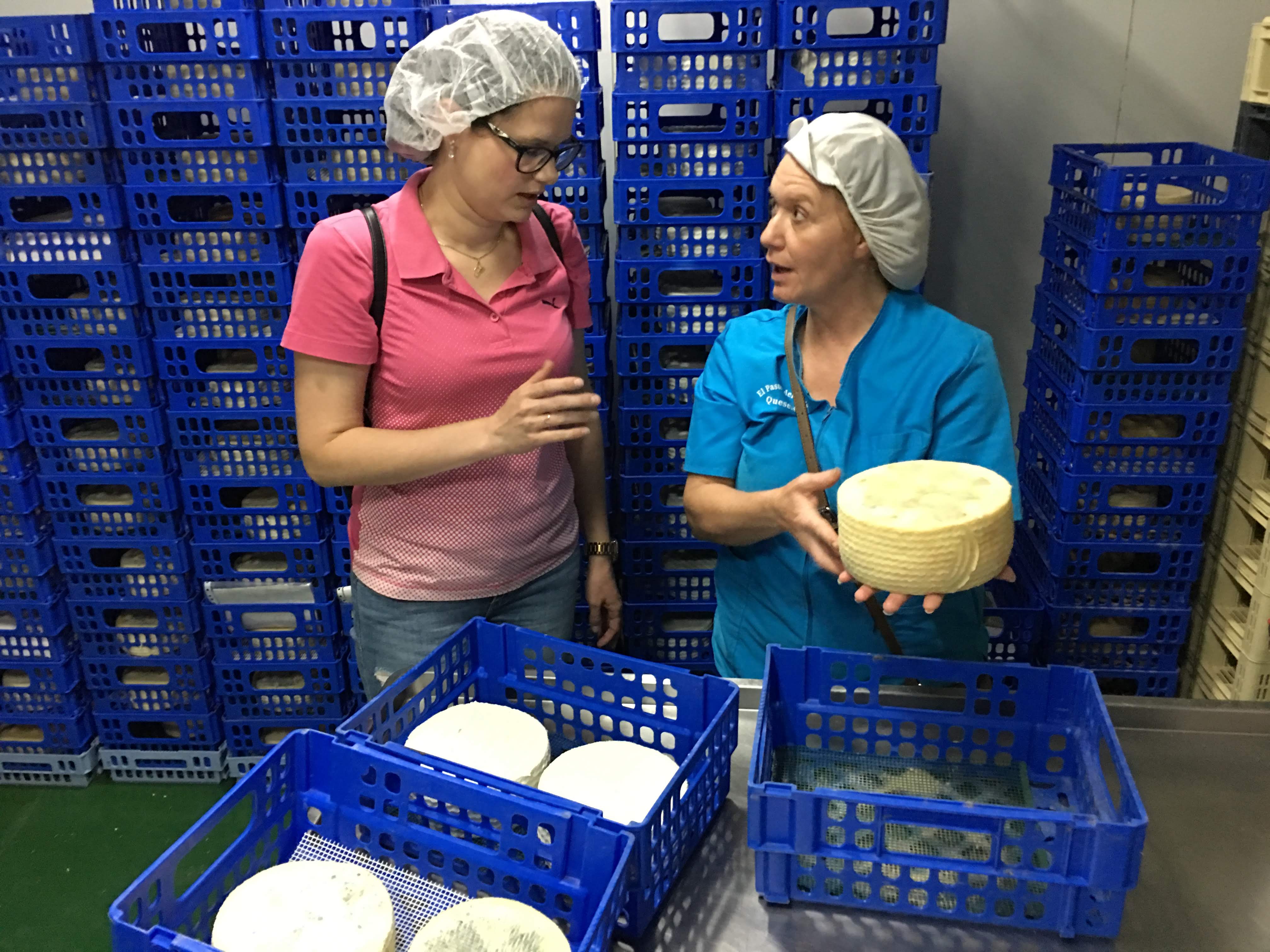 Экскурсия на сыроварню